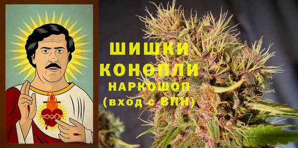 винт Каменка