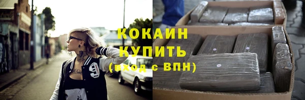 винт Каменка