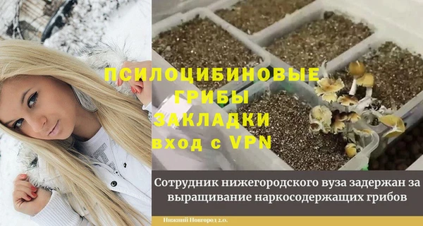 каннабис Михайловка