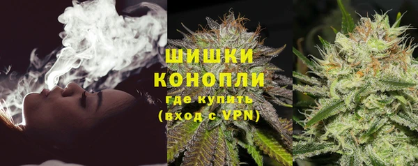 винт Каменка