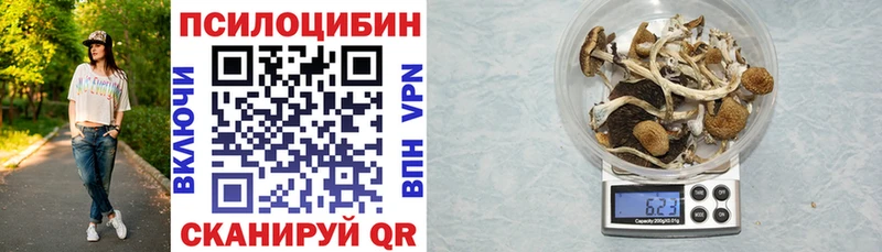Галлюциногенные грибы GOLDEN TEACHER  Лихославль 